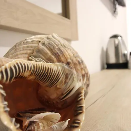 بيت ضيافة Adrian